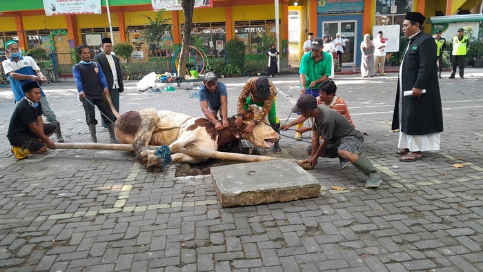 Bupati Klaten Sri Mulyani saksikan penyembelihan hewan kurban di Masjid Raya, Senin (17/6/2024).