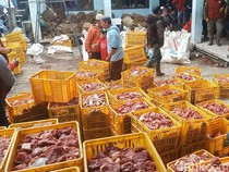 Dusun Kecil di Jateng Ini Kurban Lebih dari 70 Sapi dan Hampir 300 Kambing