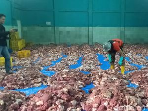 Hukum Menjual Daging Kurban dalam Islam, Boleh Atau Tidak?