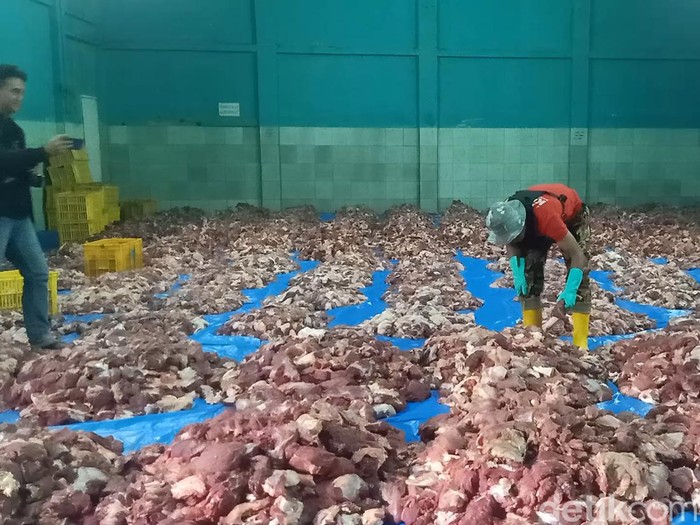 Tumpukan daging kurban di Dusun Krajan Desa Batur Kecamatan Batur Banjarnegara, Senin (17/6/2024).
