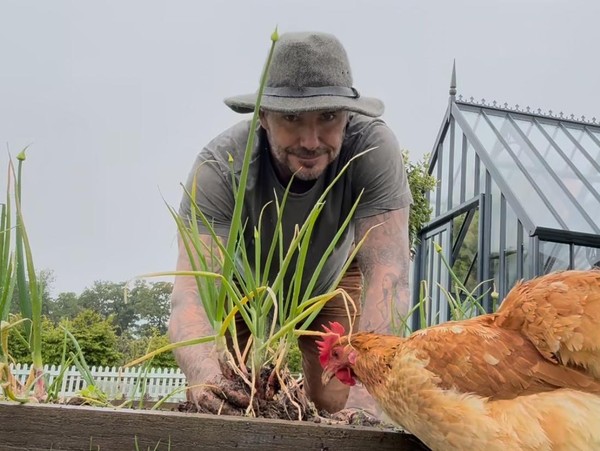 David Beckham Punya Rumah Rp 241 M Untuk Berkebun-Bikin Lapangan Sepak Bola