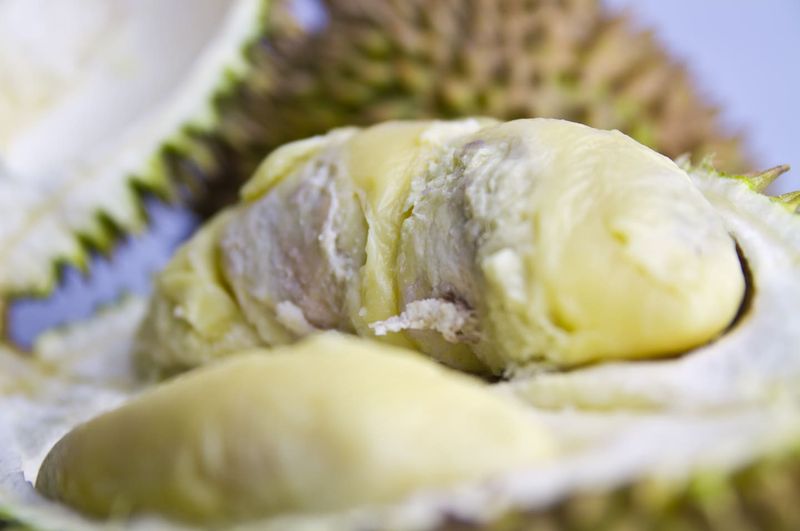 Durian
