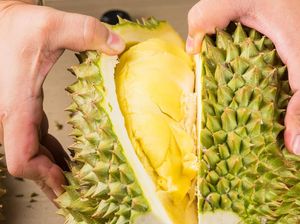 Durian Mengandung Alkohol Tinggi tapi Halal, Ini Penjelasannya