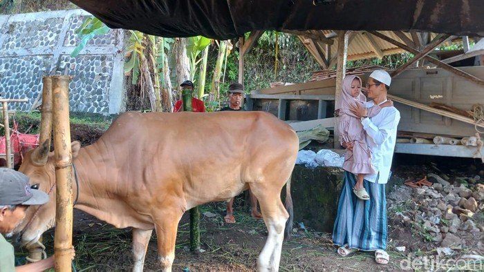 Falisha saat menyerahkan hewan kurban di halaman Madrasah PUI Gunung Yuda, RT 01, RW 7, Kelurahan Cigantang Kecamatan Mangkubumi Kota Tasikmalaya.