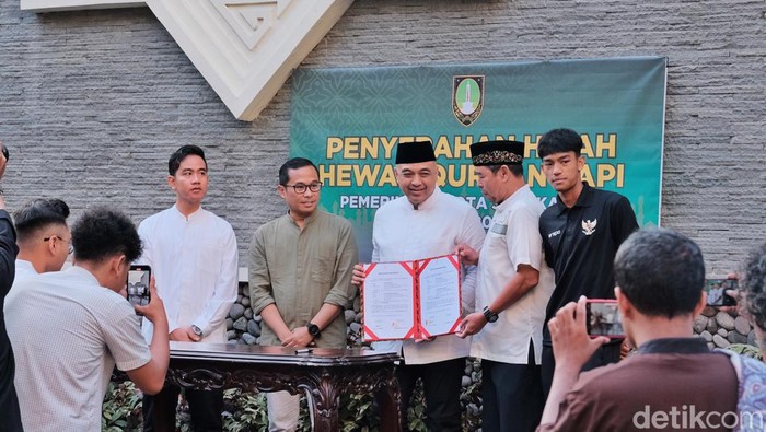Wali Kota Solo Gibran Rakabuming Raka terima sapi kurban dari Timnas U-16, Senin (17/6/2024).