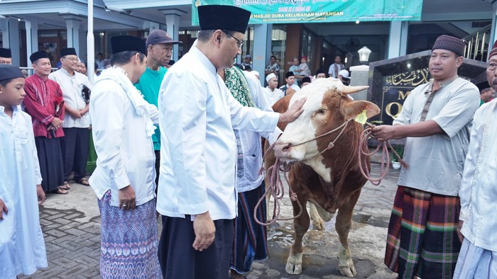 Gus Ipul Serahkan 87 Hewan Kurban ke Masjid di Seluruh Kota Pasuruan