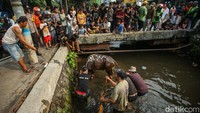 Penyembelihan ini juga disaksikan warga yang tengah melintas di Jalan Raya Pasar Minggu, akibatnya lalu lintas sempat tersendat.