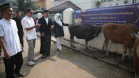 Dalam rangka perayaan Hari Raya Idul Adha 1445 H, Jajaran Direksi dan Karyawan PT Indofood Sukses Makmur Tbk (Grup Indofood) memberikan bantuan hewan Qurban sebanyak 104 ekor sapi, 47 ekor domba dan 181 ekor kambing.