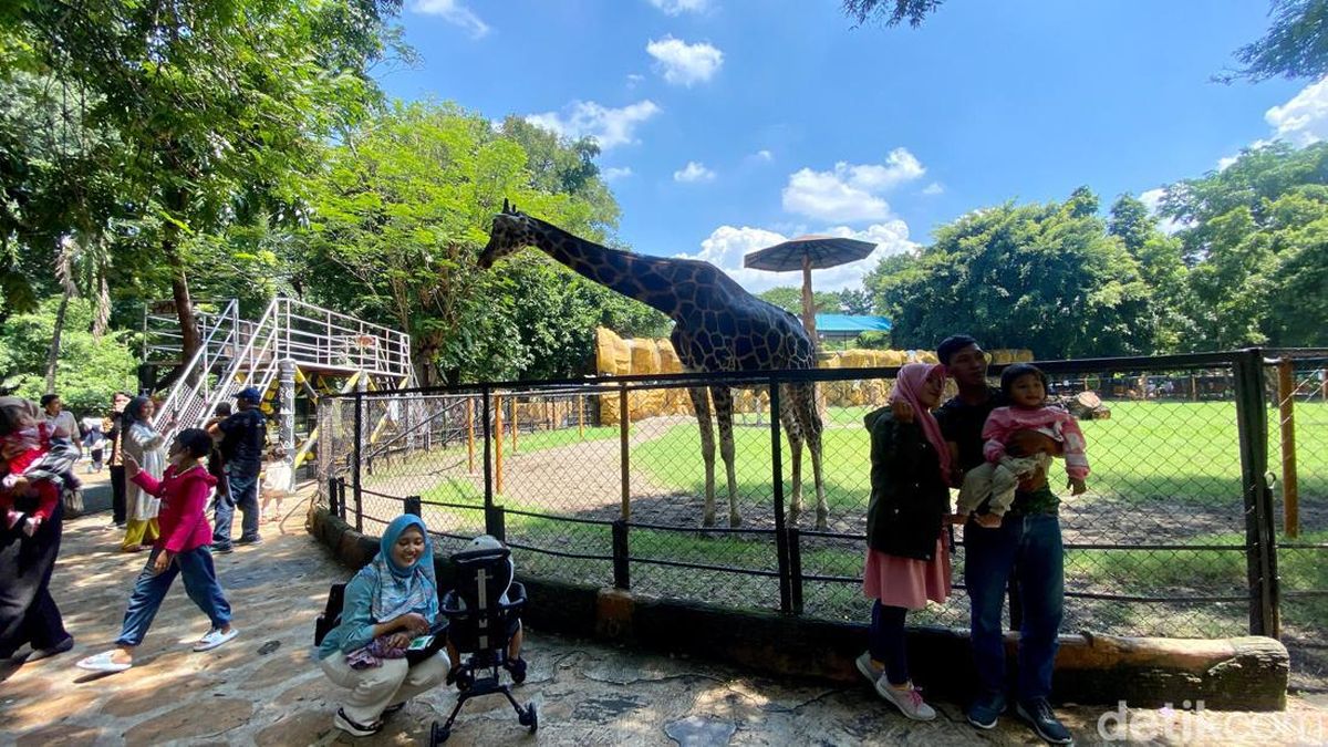 Cek Harga Tiket Masuk dan Jam Buka Kebun Binatang Surabaya