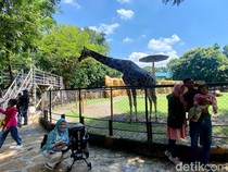 18 Ribu Wisatawan Padati Kebun Binatang Surabaya di Awal Libur Panjang
