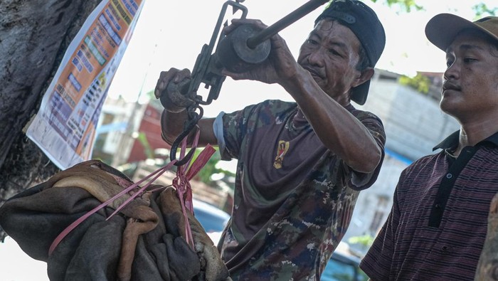 Kulit Sapi Kurban Diburu Pengepul, Harga Rp 4 Ribu/Kg Pembeli kulit hewan sapi kurban membersihkan kulit sapi di lapak pinggir jalan di Kendari, Sulawesi Tenggara, Senin (17/6/2024). Jual beli kulit sapi pada Hari Raya Idul Adha menjadi kegiatan rutin tahunan bagi pembeli kulit dengan mendirikan lapak pinggir jalan perkotaan yang nantinya dijual kembali ke pabrik melalui pengepul seharga Rp4.000 per kilogram. ANTARA FOTO/Andry Denisah/YU/foc.