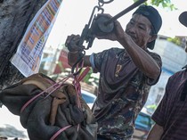 Kulit Sapi Kurban Diburu Pengepul, Harga Rp 4 Ribu/Kg