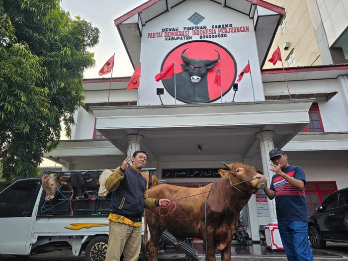 Kurban PDIP Jawa Timur