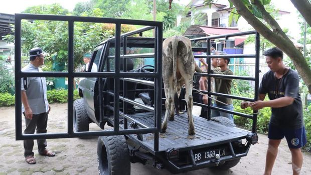 Personel Polres Tebing Tinggi menurunkan hewan kurban yang diserahkan ke MUI Tebing Tinggi.