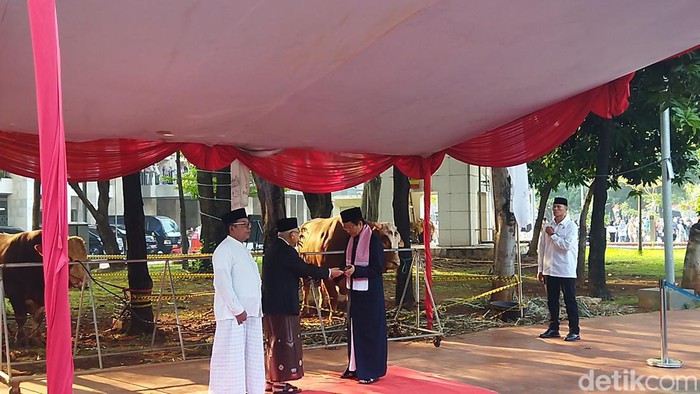 Maruf Amin serahkan sapi kurban ke Masjid Istiqlal.