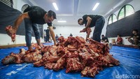 Pembagian 1600 kantong daging dilakukan pada siang hari.