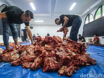 Daging Kurban Dibagikan dalam Keadaan Segar, Begini Caranya