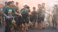 Kegiatan tersebut merupakan tradisi yang dilakukan warga setempat setiap tahun sebelum proses penyembelihan hewan kurban saat Hari Raya Idul Adha. 