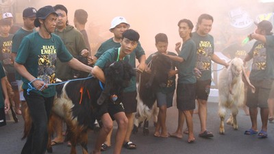 Melihat Tradisi Pawai Hewan Kurban di Malang