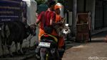 Mengintip Proses Pemotongan Hewan Kurban di Jakarta Selatan