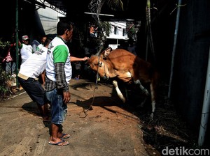5 Tujuan Kurban dalam Islam, Salah Satunya Mengenang Kisah Nabi