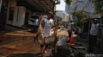 Mengintip Proses Pemotongan Hewan Kurban di Jakarta Selatan