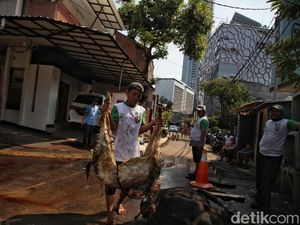 Tips Membersihkan Noda Darah Hewan Kurban pada Pakaian