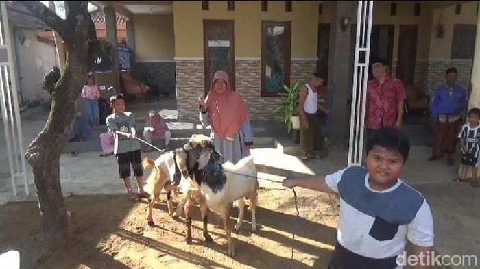 Mirza Ukail Arfia (8) bocah kelas 2 SD di Bangkalan yang berkurban kambing usai menabung selama 1 tahun.