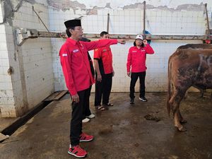 Gotong Royong 3 Pilar, PDIP Surabaya Kurban 15 Sapi
