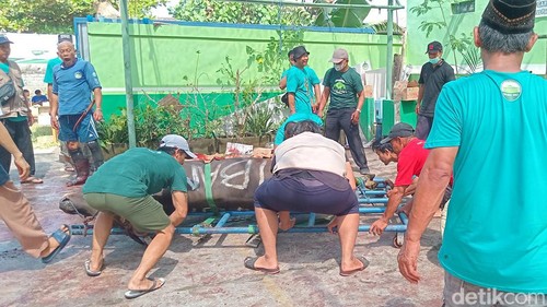 Kegiatan pemotongan hewan kurban di Musala Baitul Mukminin, Panjer, Denpasar, Senin (17/6/2024).