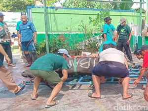 Musala Baitul Mukminin Sembelih Sapi dari Pj Gubernur Bali-Konjen China