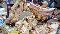 Pengepul kulit hewan kurban sedang memilih kulit sapi dan kambing di Jalan Ampel, Nyamplungan, Surabaya.