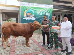 Idul Adha, PGN Bagikan 382 Hewan Kurban di Sekitar Wilayah Operasional