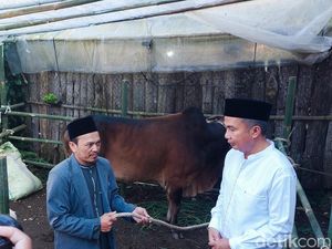 Idul Adha, Bey Machmudin Titip 1 Sapi dan 3 Domba di Lembang