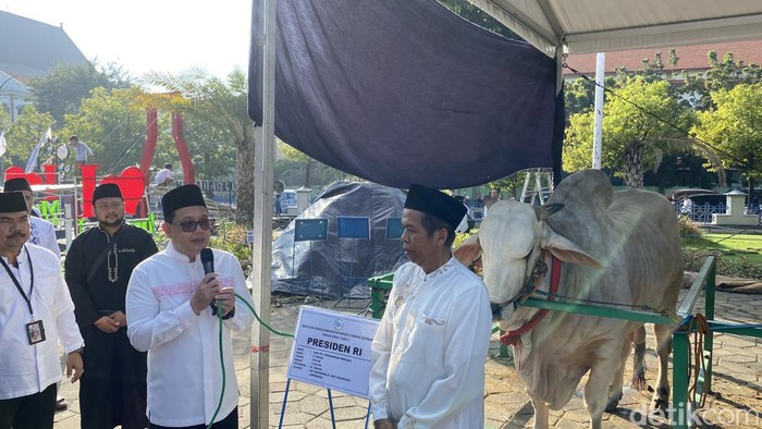 Pj Gubernur Jatim Adhy Karyono saat menyerahkan sapi kurban di Masjid Al-Akbar Surabaya.