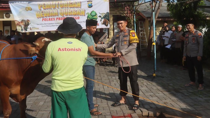 polres Probolinggo sumbangkan hewan kurban