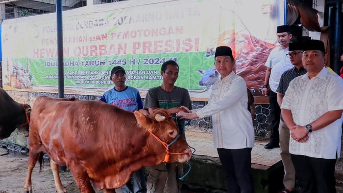 Polisi Bandara Soekarno-Hatta Tebar Kebahagiaan dengan Salurkan 24 Hewan Kurban saat Idul Adha