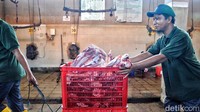 Tim dan dokter hewan RPH Surabaya siap menangani proses penyembelihan hingga pendistribusian daging. Tim dan dokter hewan RPH Surabaya siap menangani proses penyembelihan hingga pendistribusian daging.