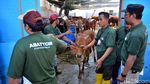 Melihat Puluhan Hewan Kurban Dipotong di RPH Surabaya
