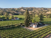 Keluarga Boss Caesar Entertainment Jual Rumah Kebun Anggur Rp 131,4 M