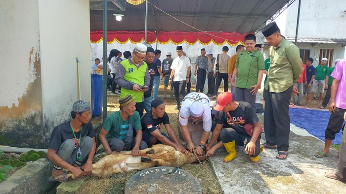 Saat proses pemotongan hewan kurban di Lingkungan Rutan Kelas 1 Palembang