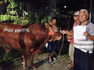 Eri Sumbang Sapi Kurban untuk Golkar Surabaya dengan Semangat Gotong Royong