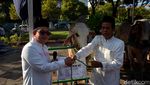 Sapi Kurban Jokowi Jadi Tontonan Warga di Masjid Al Akbar Surabaya
