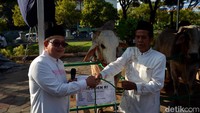 PJ Gubernur Jatim, Adhy Karyono melakukan penyerahan secara simbolik kepada panitia kurban di Masjid Al-Akbar Surabaya.