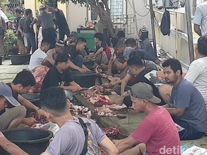 Belasan Hewan Kurban di Sumsel Tak Penuhi Syarat Umur tapi Tetap Disembelih