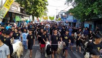 Tradisi arak-arakan hewan kurban menjadi momen yang sangat dinanti-nanti warga.