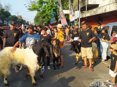 Melihat Tradisi Arak-arakan Hewan Kurban di Kota Malang