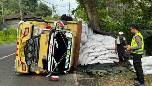 Truk berpelat nomor DK 8362 SB yang mengangkut 12 ton kopi terguling di jalur Amlapura-Denpasar, tepatnya di wilayah Desa Antiga, Kecamatan Manggis, Kabupaten Karangasem, Bali, Senin (17/6/2024). (Dok. Polres Karangasem)