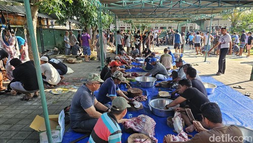 Umat Islam di Kampung Kusamba, Kecamatan Dawan, Klungkung, Bali, memiliki tradisi mepatung dengan bergotong royong memotong hewan kurban saat Idul Adha 1445 Hijriah, Senin (17/6/2024). (Foto: Putu Krista/detikBali)