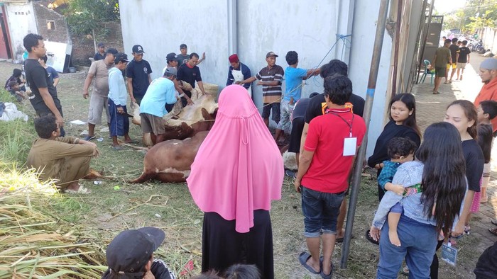 Via Vallen berkurban 4 sapi 9 kambing